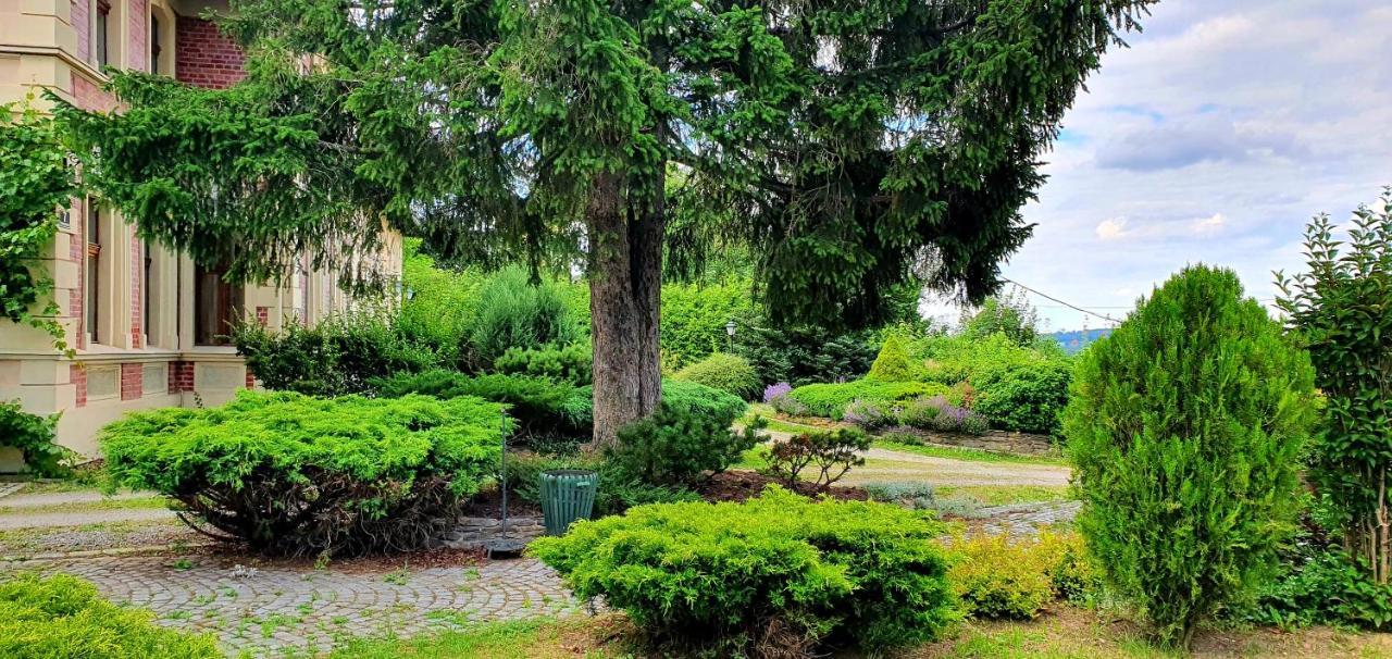 Villa Kliche Przerzeczyn-Zdroj Bagian luar foto